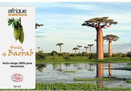 2018 - 04 - L'Huile de baobab va devenir la nouvelle routine beauté des femmes