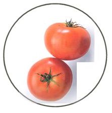 Tomatoes - Our Ally in the Sun