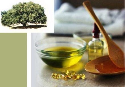 A fountain of youth from the argan tree
