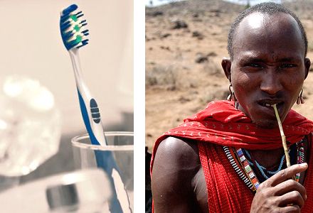 Teeth file > A look at the toothbrush evolution