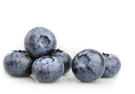Blueberry, The Antioxidant Champion
